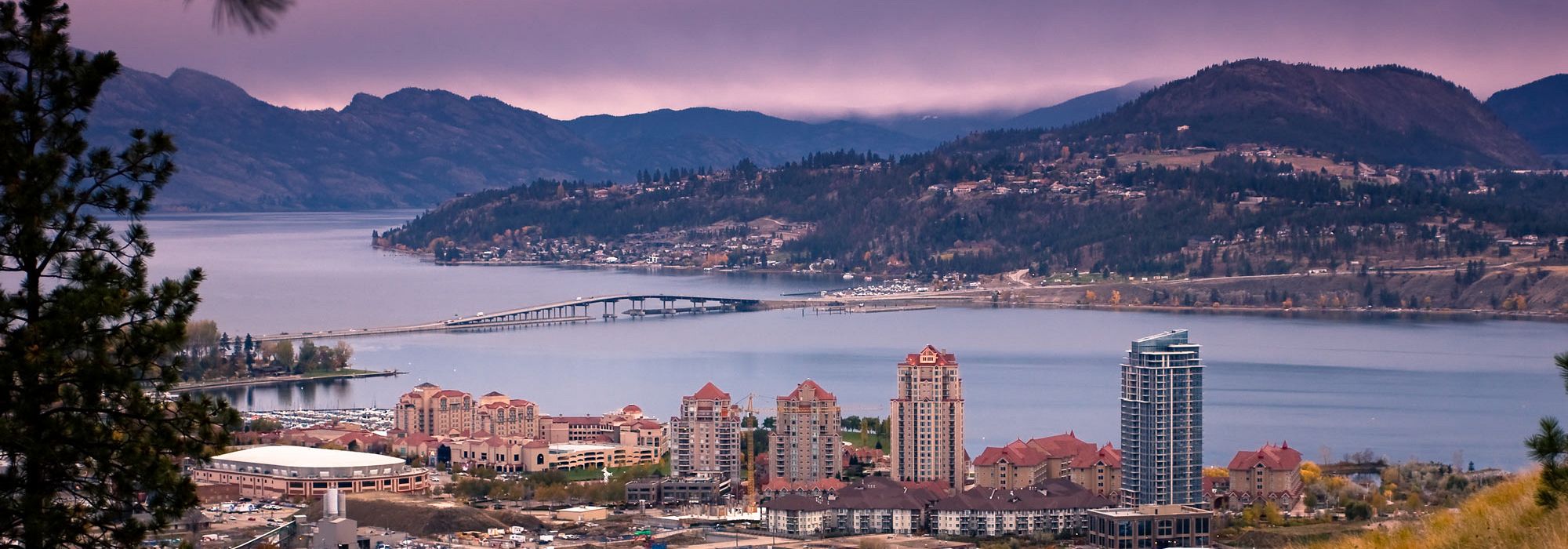 The Patterson Story: A Partnership Built on Excellence